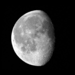 GibbonsWainingMoon