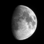 GibbonsWaxingMoon