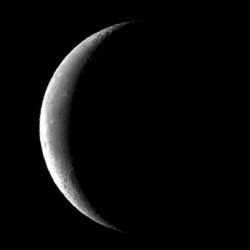 WainingMoon